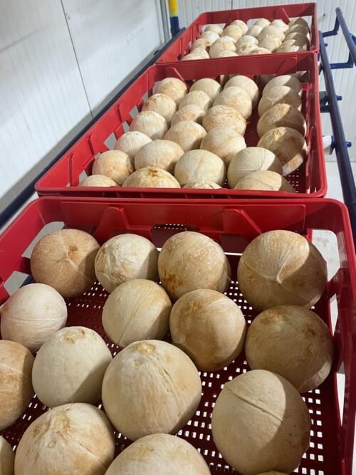 ekfresh-fruits-gallery3