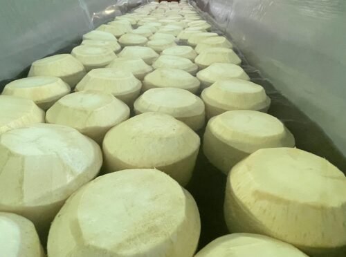 ekfresh-fruits-gallery5